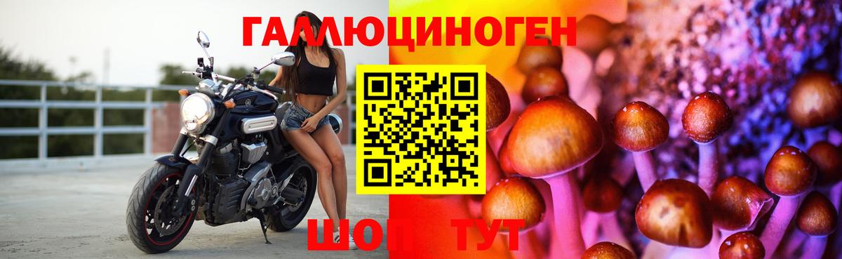 Сочи  Галлюциногенные грибы Psilocybe  Вход с VPN 