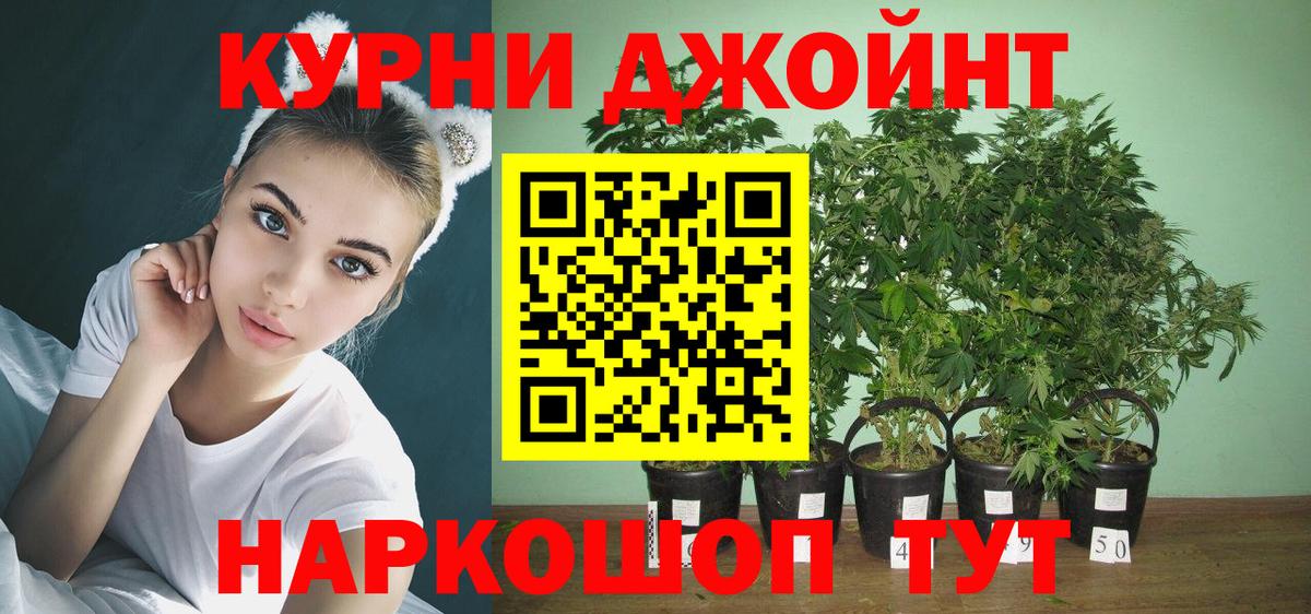 Конопля индика Сочи